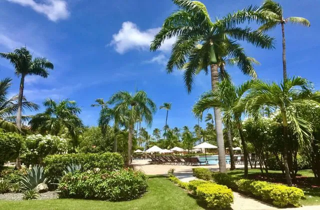 Dreams Palm Beach Punta Cana jardin